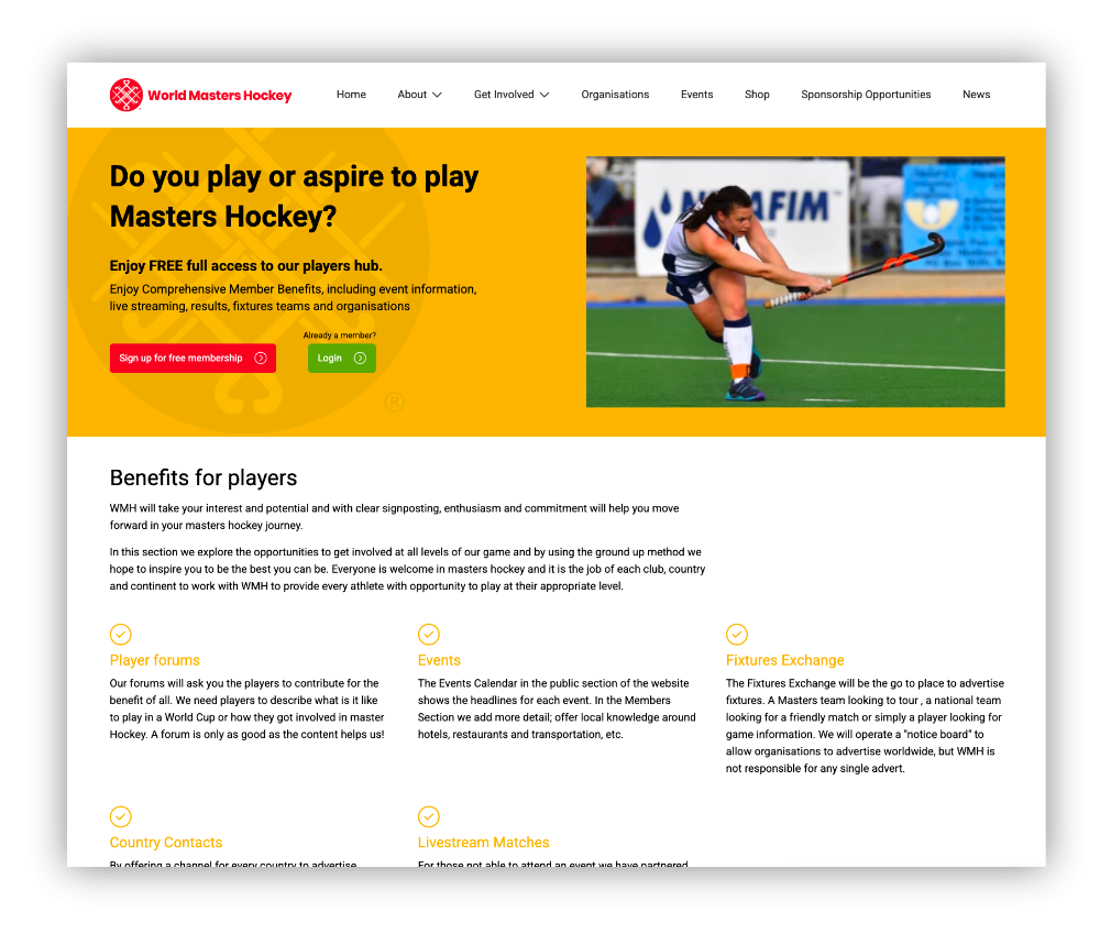 website review mockup